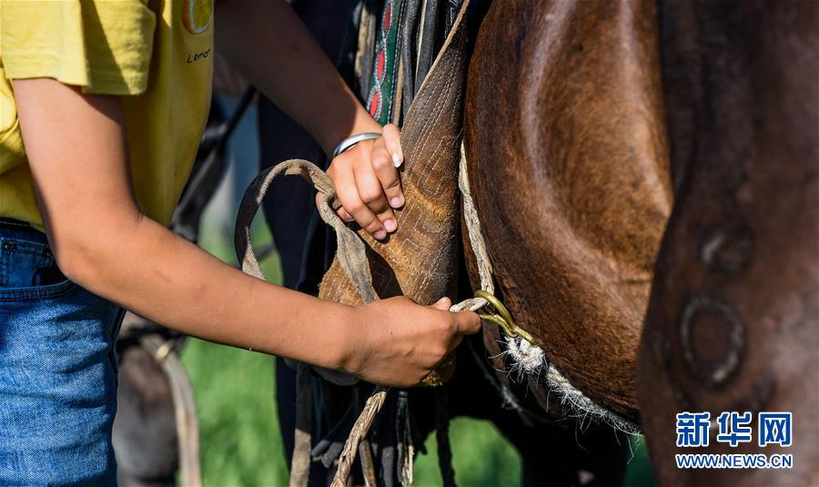 （特別的暑期生活&middot;圖片故事）（7）草原女孩錫林花的暑期&ldquo;歡樂時光&rdquo;